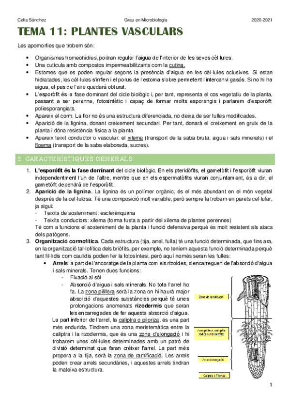 Miniatura del documento Tema-11.pdf
