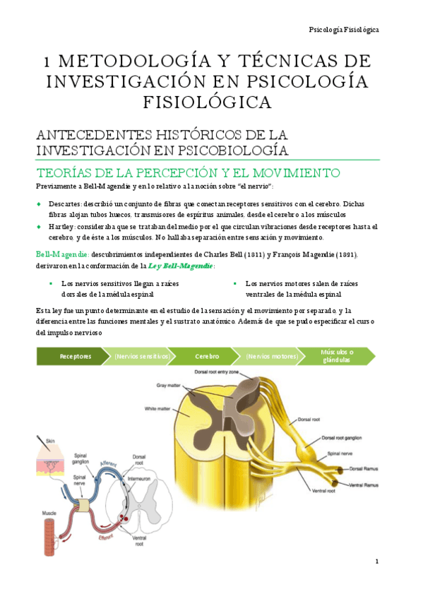 Miniatura del documento Psicologia-fisiologica-Tema-1.pdf