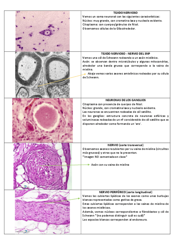 Miniatura del documento SEMINARIO-6.pdf