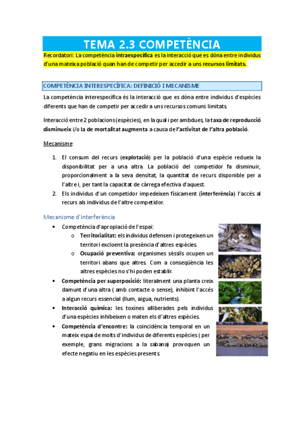 Miniatura del documento TEMA-2.pdf