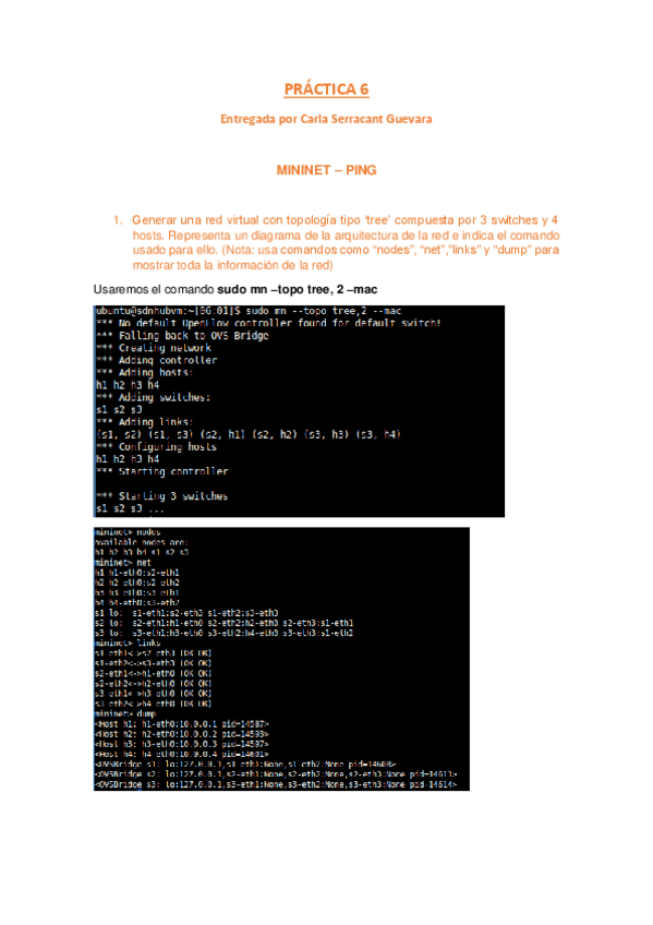 Miniatura del documento Practica-6-Protocolos-4.pdf