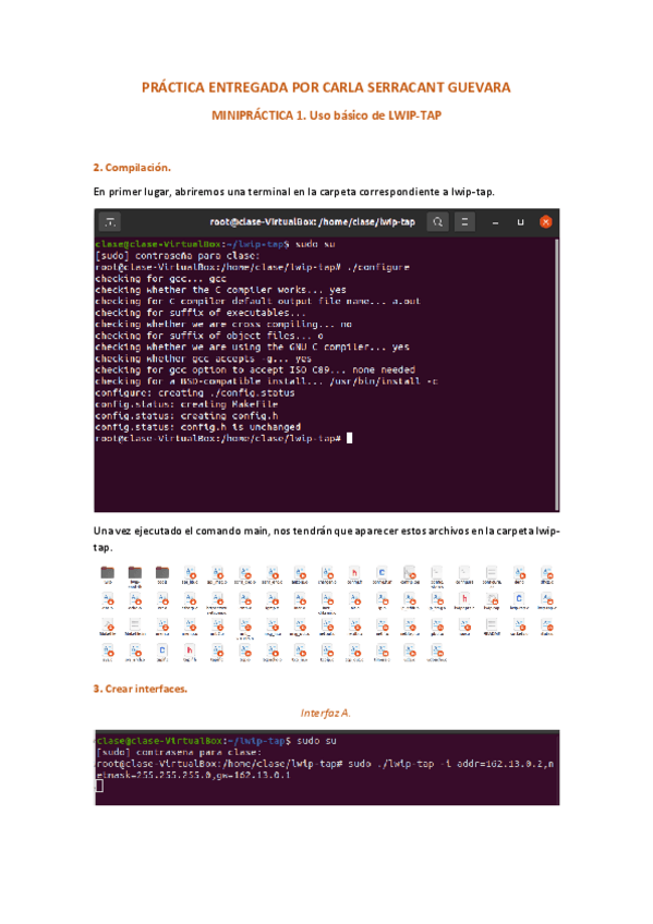 Miniatura del documento MEMORIA-PRACTICA-PROTOCOLOS.pdf