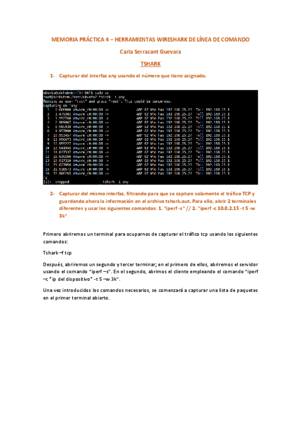 Miniatura del documento practica4-protocolos-1.pdf