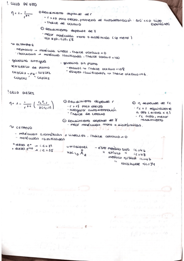Miniatura del documento Ciclos.pdf