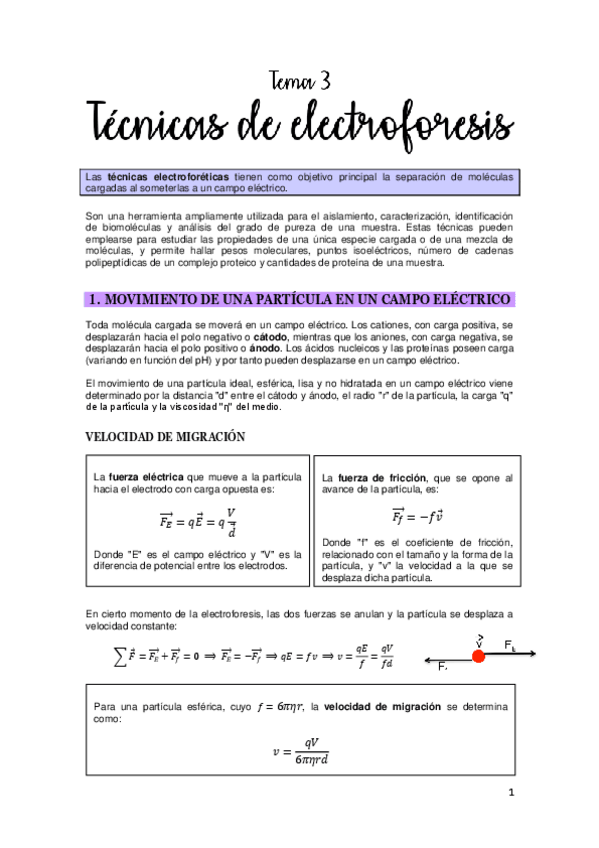 Miniatura del documento Metodología: tema 3 (electroforesis).pdf