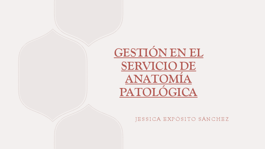 Miniatura del documento presentacion-proyecto-final.pdf