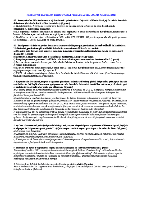 Miniatura del documento 12.pdf