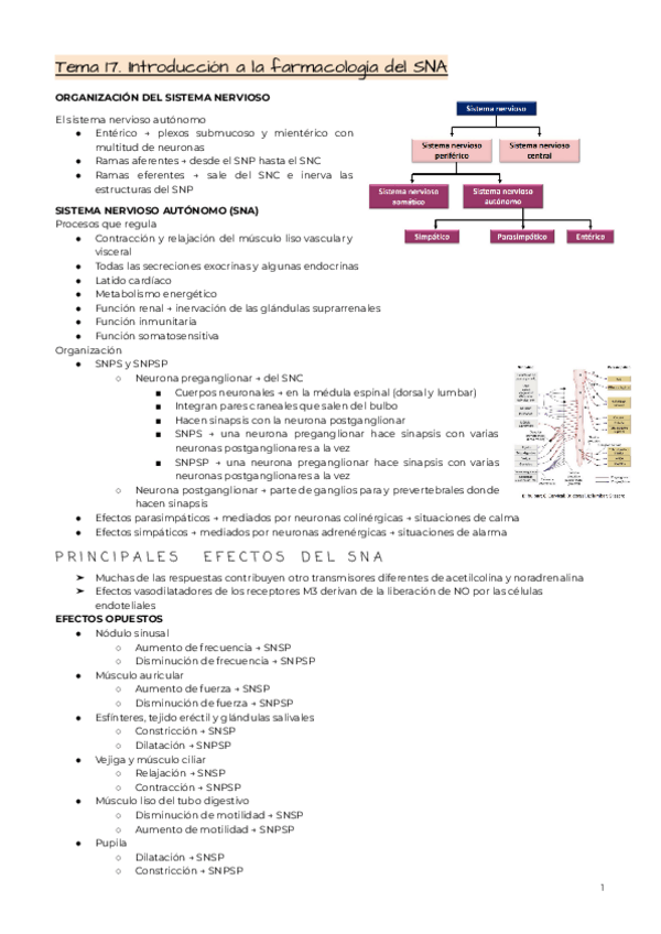 Miniatura del documento Bloque-6.pdf