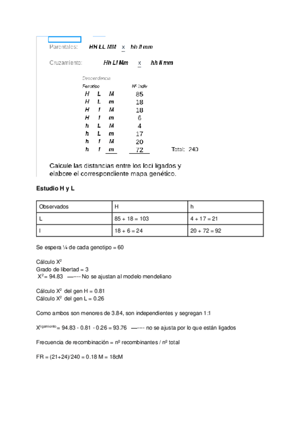 Miniatura del documento Ejercicio-e2.pdf