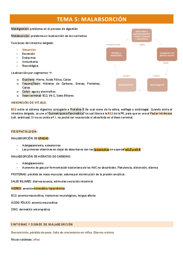 Miniatura del documento TEMA-5-malabsorcion.pdf
