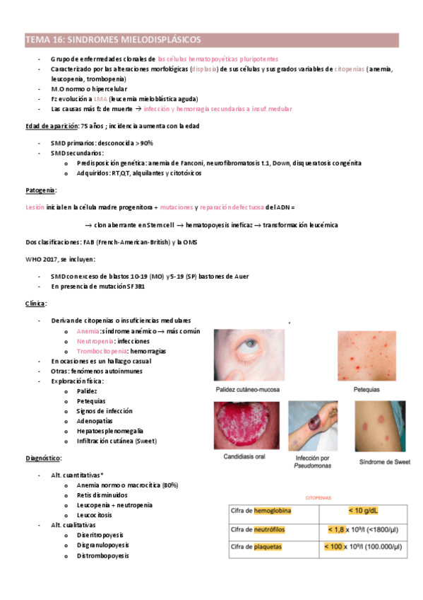 Miniatura del documento SMD.pdf