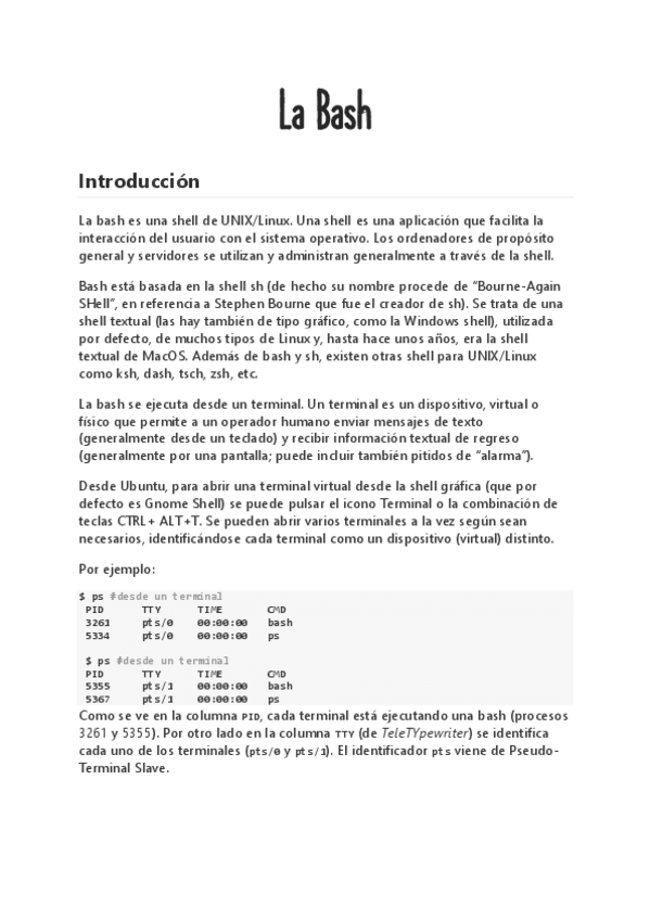 Miniatura del documento LaBashapuntes.pdf