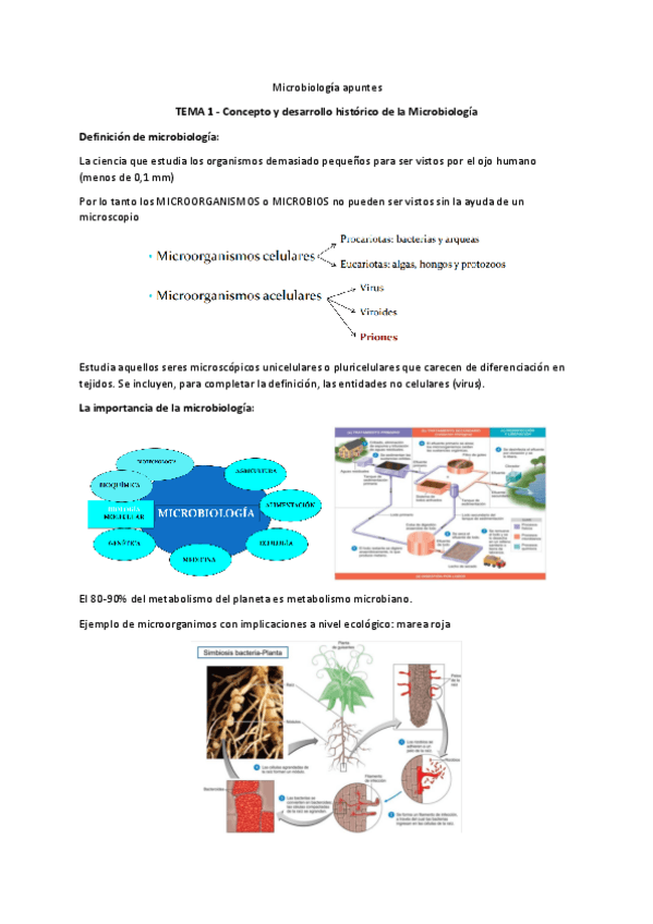 Miniatura del documento microbiologia.pdf