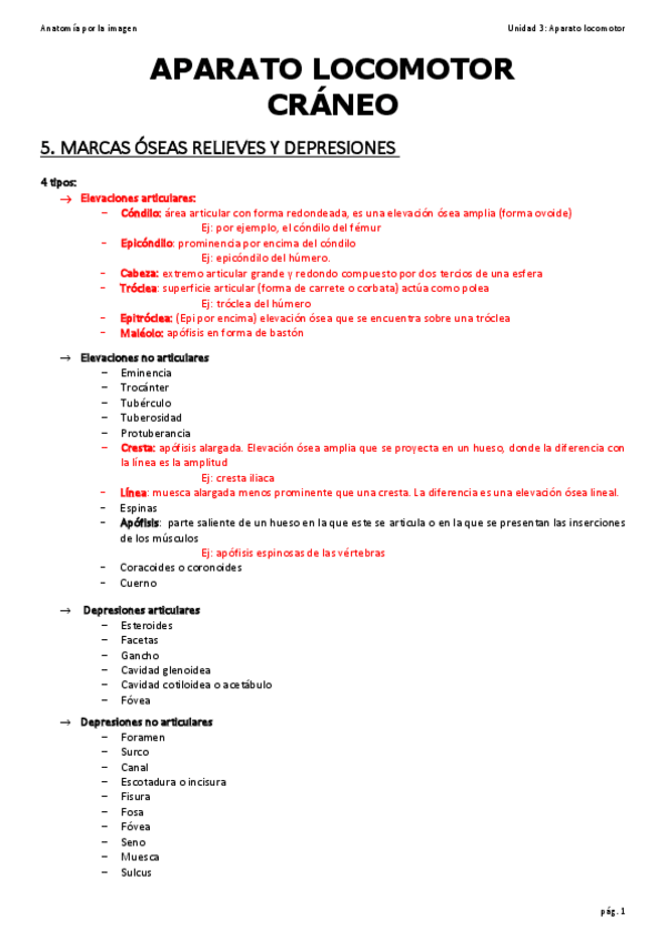 Miniatura del documento 3.pdf