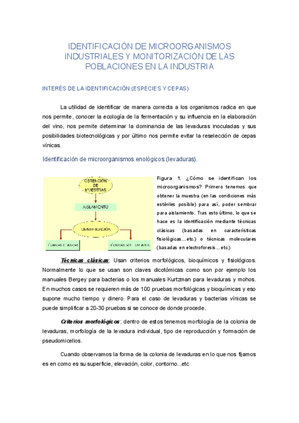 Miniatura del documento IDENTIFICACION-DE-MICROORGANISMOS-INDUSTRIALES-Y-MONITORIZACION-DE-LAS-POBLACIONES-EN-LA-INDUSTRIA.pdf