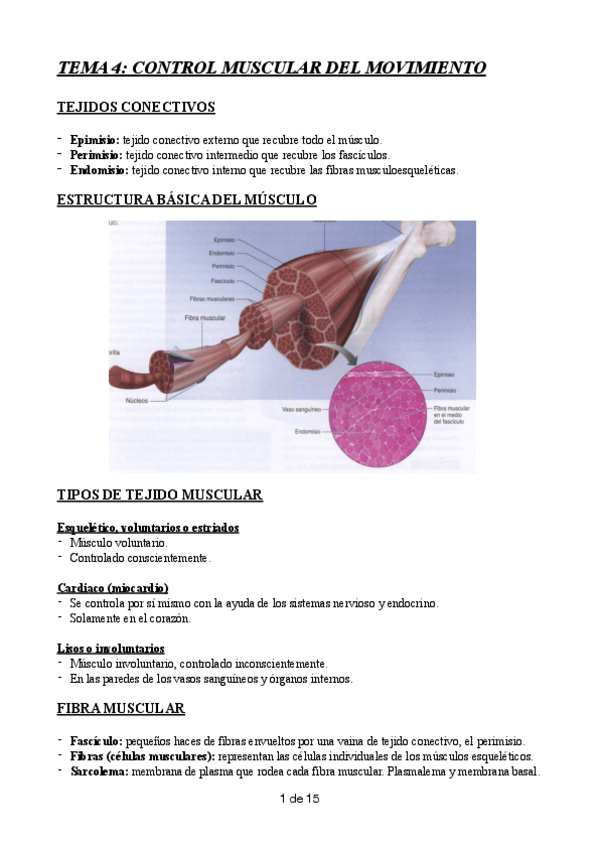 Miniatura del documento TEMA-4.pdf