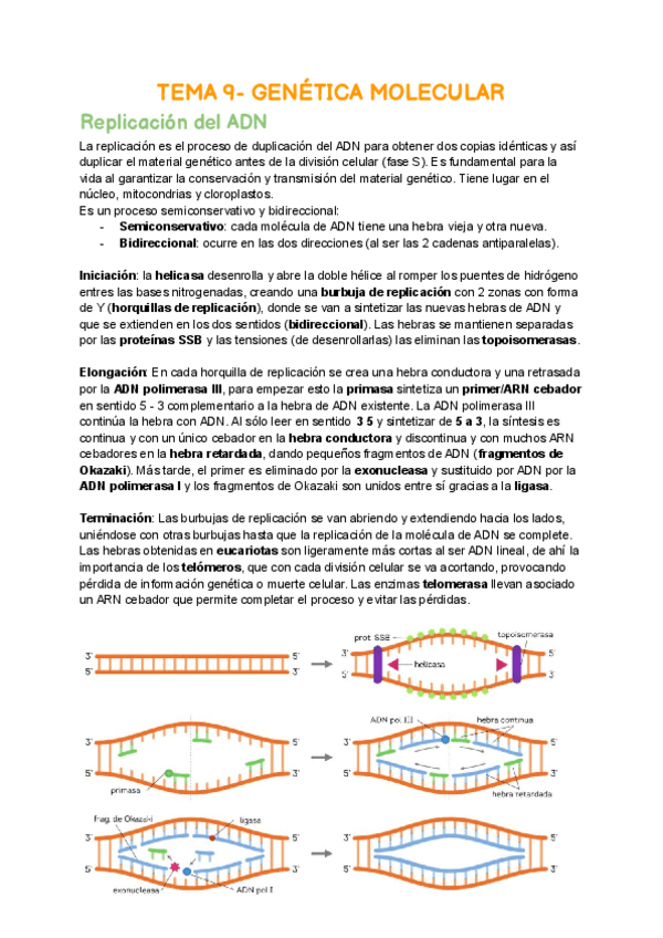 Miniatura del documento TEMA-9.pdf