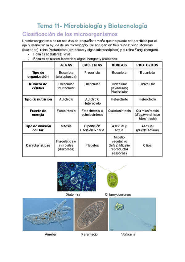 Miniatura del documento TEMA-11.pdf