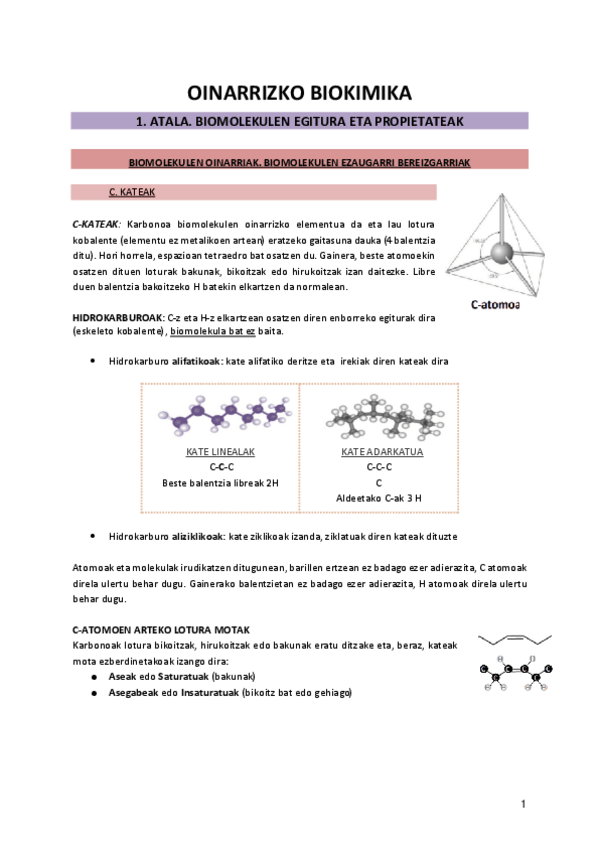 Miniatura del documento 1.pdf
