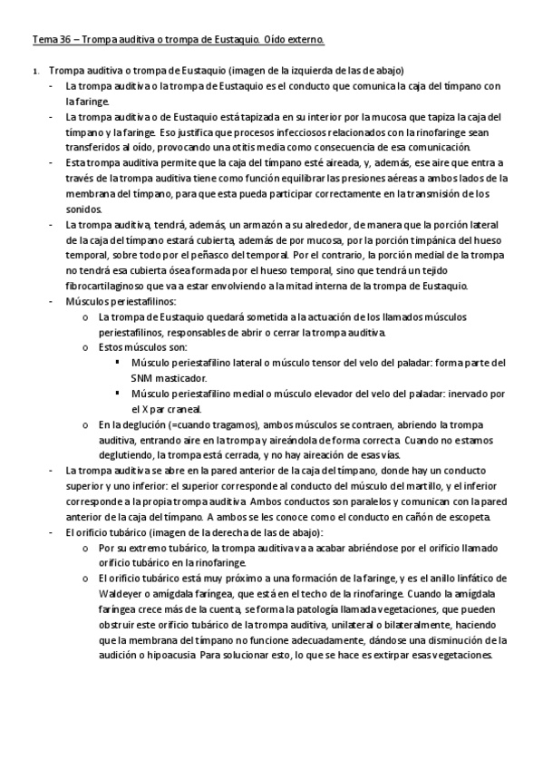 Miniatura del documento T36.pdf