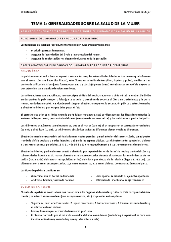 Miniatura del documento TEMA-1-MUJER-LENO.pdf