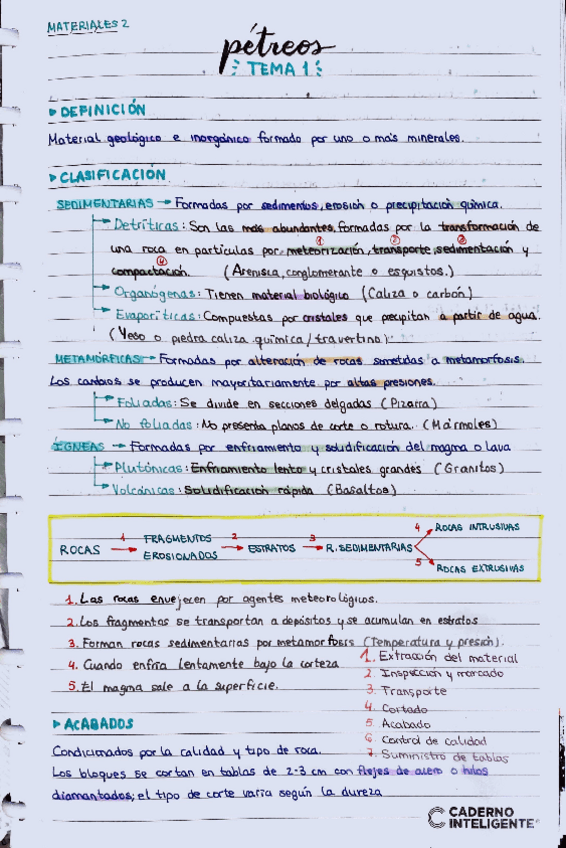 Miniatura del documento Apuntes-T1-Petreos.pdf