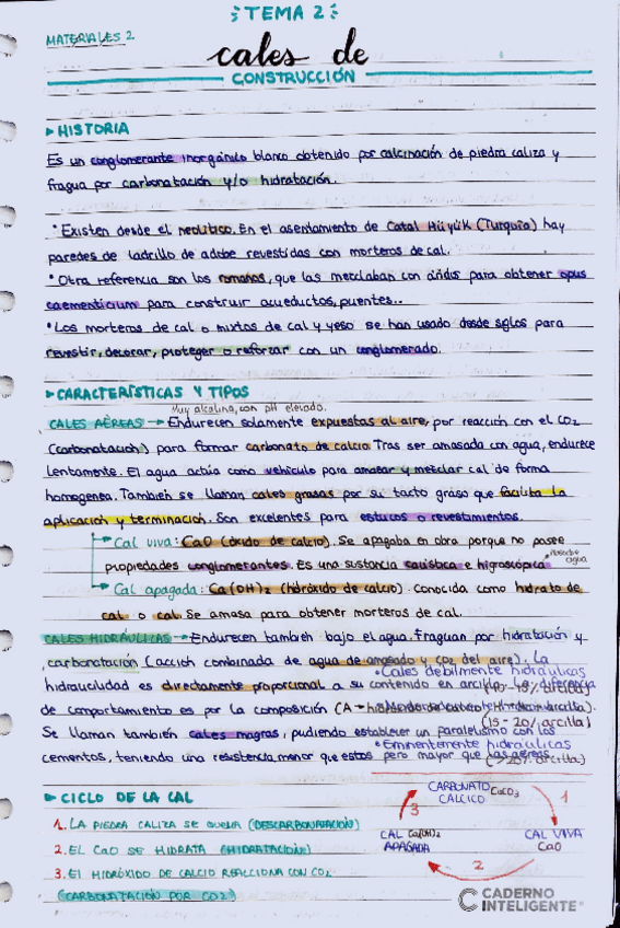 Miniatura del documento Apuntes-T2-Cales.pdf