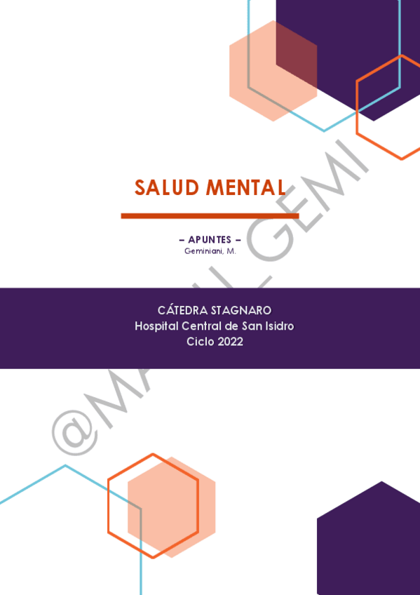 Miniatura del documento APUNTES-SALUD-MENTAL.pdf