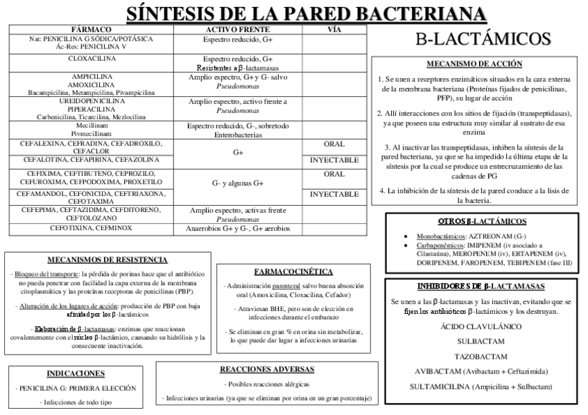 Miniatura del documento tema-16-antibacterianos.pdf
