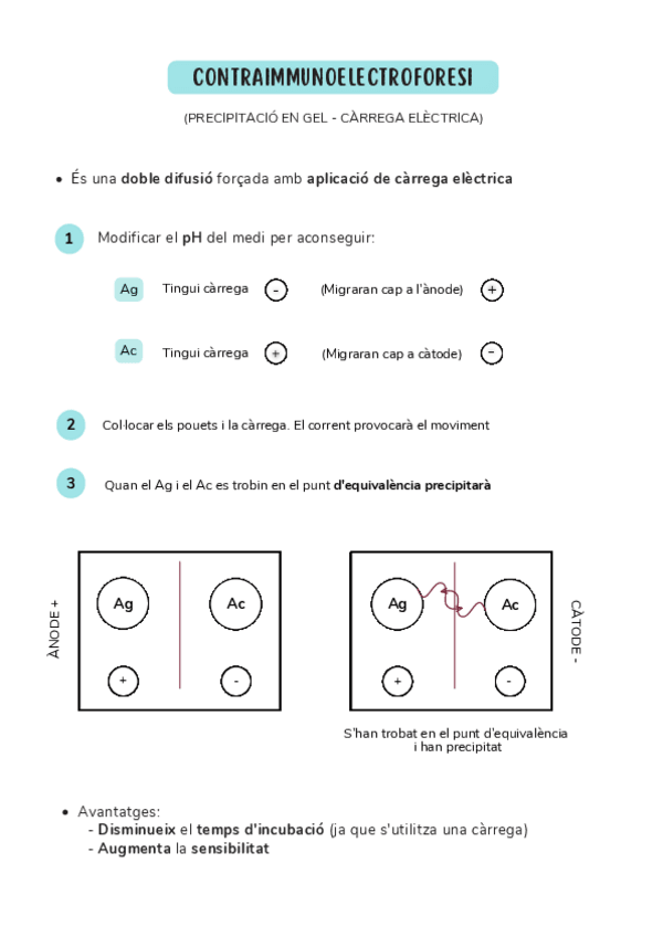 Miniatura del documento CONTRAIMMUNOELECTROFORESI.pdf