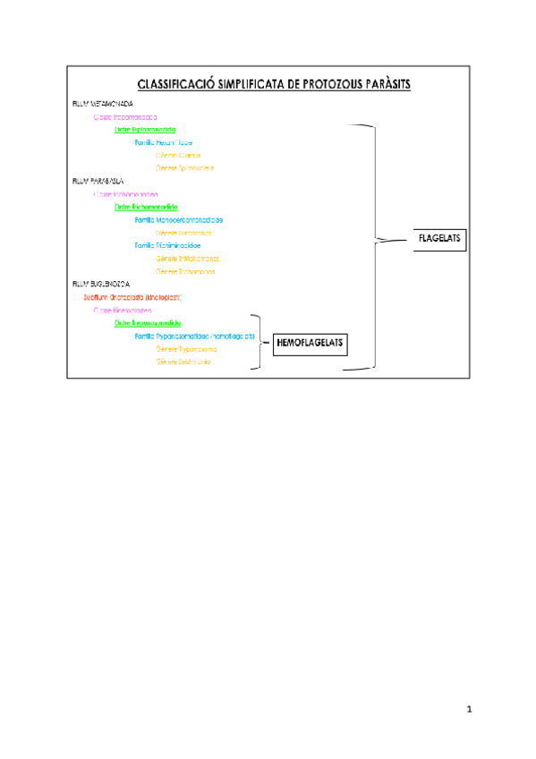 Miniatura del documento TAXONOMIA-PARASITS.pdf