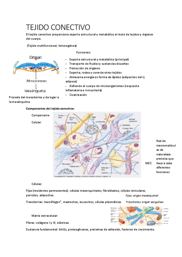 Miniatura del documento T8.pdf