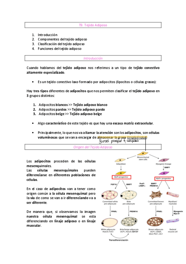 Miniatura del documento T9.pdf