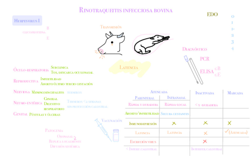 Miniatura del documento Infecciosas-bovino.pdf