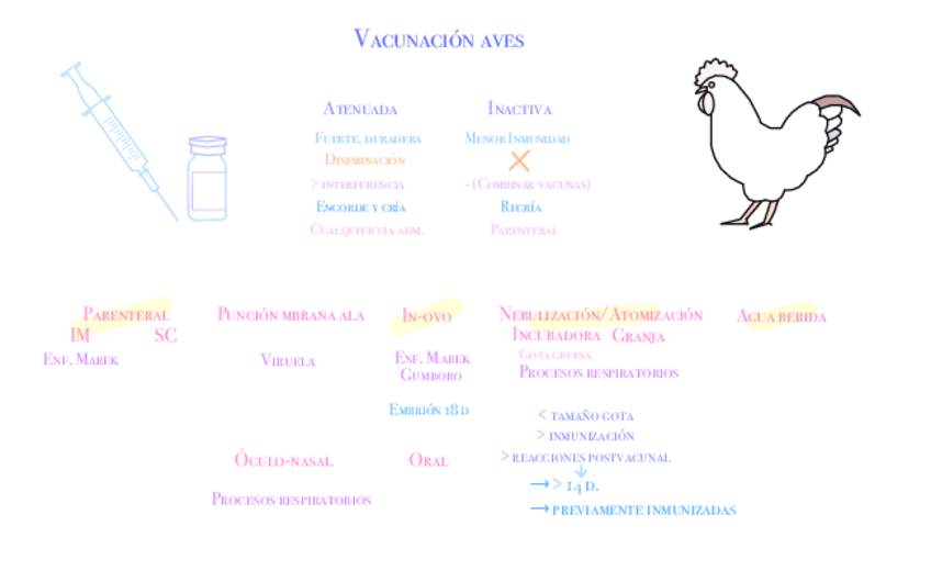 Miniatura del documento Infecciosas-aves.pdf