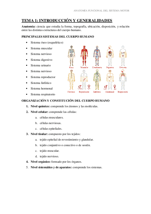 Miniatura del documento anatomía 1- 2 y 3.pdf