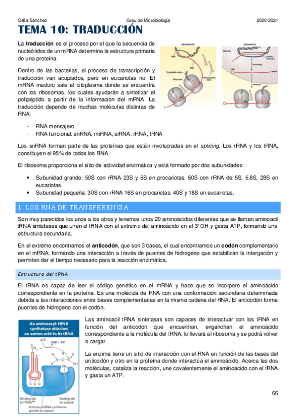 Miniatura del documento Tema-10.pdf