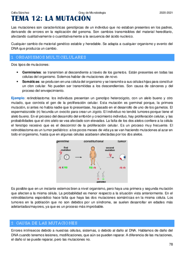 Miniatura del documento Tema-12.pdf