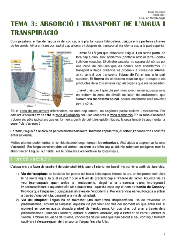 Miniatura del documento Tema-3.pdf