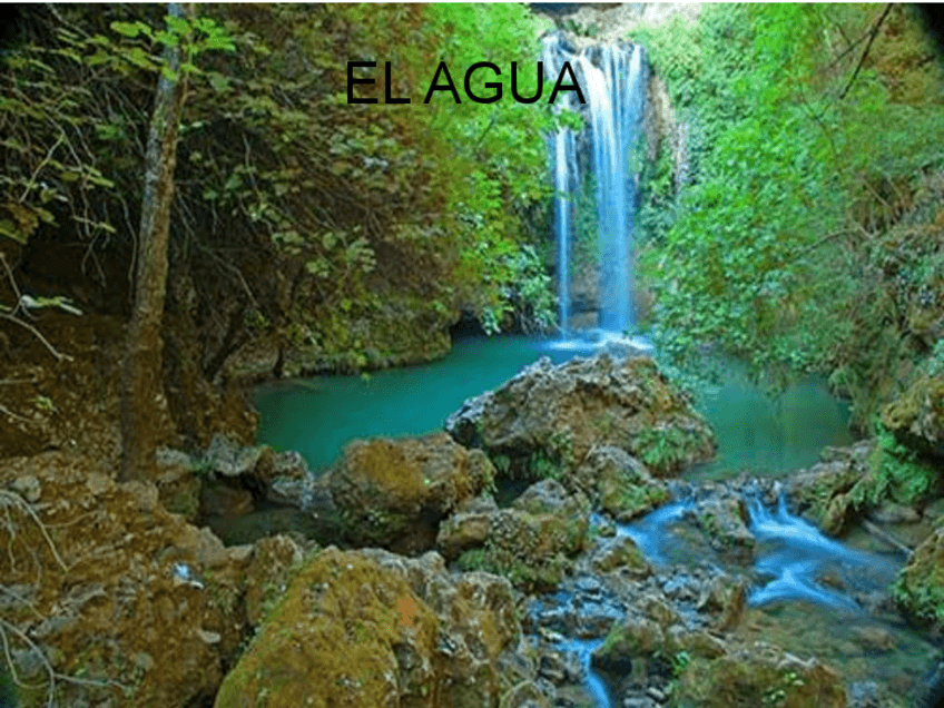 Miniatura del documento T4-Agua-y-sales.pdf