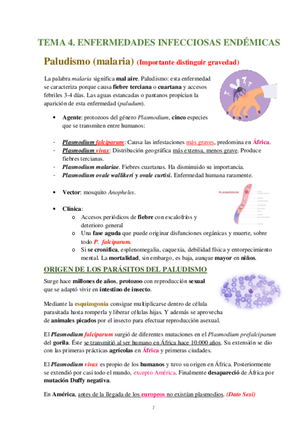 Miniatura del documento TEMA-4.pdf