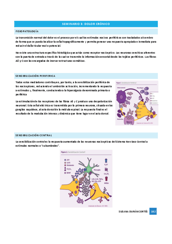 Miniatura del documento Anestesiaremoved-17.pdf