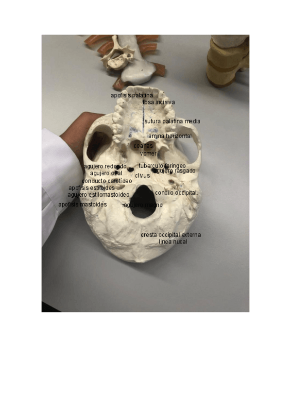 Miniatura del documento fotografias-practico.pdf