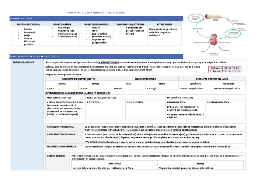 Miniatura del documento RESUM-SIMPTOMATOLIGIA-I-SEMIOLOGIA.pdf