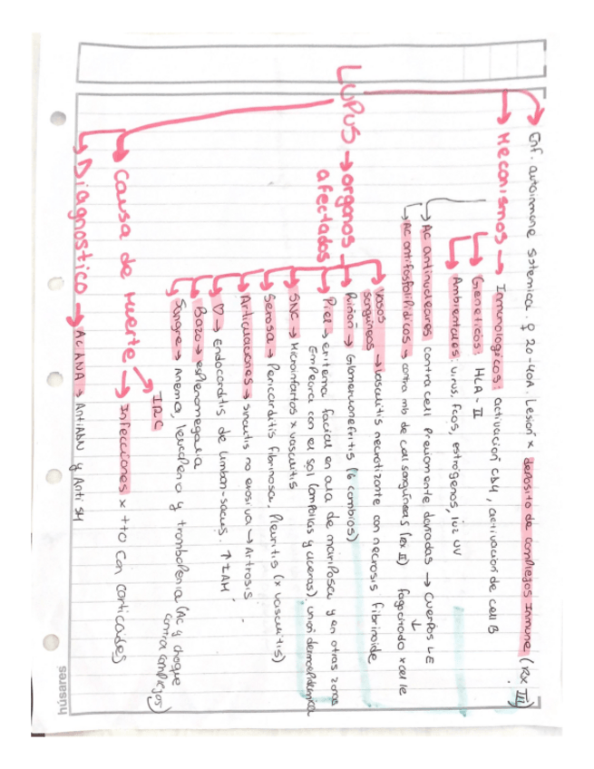 Miniatura del documento Documentos-escaneados.pdf