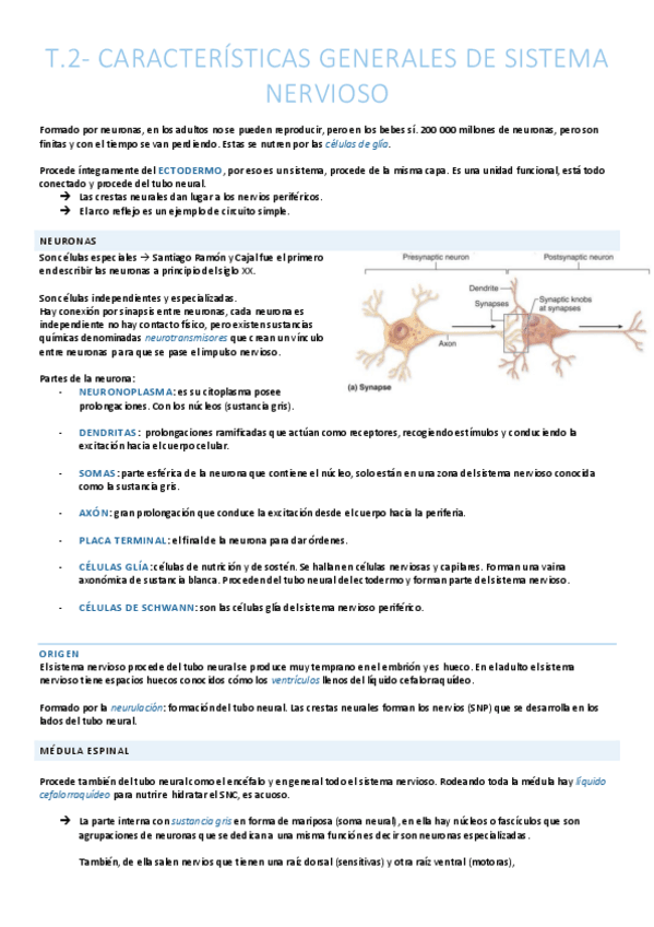 Miniatura del documento Características del sistema nervioso