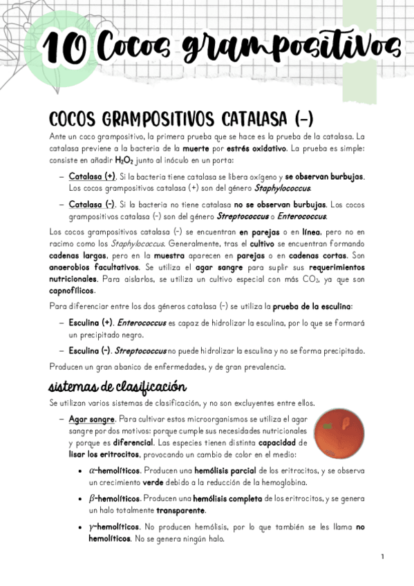 Miniatura del documento Tema-10.pdf