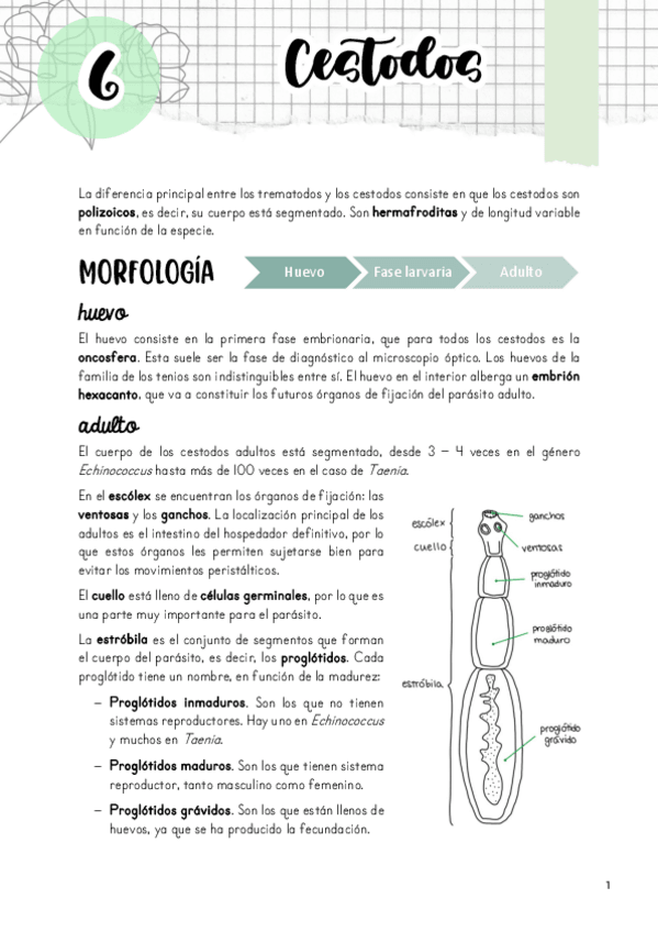 Miniatura del documento Tema-6.pdf
