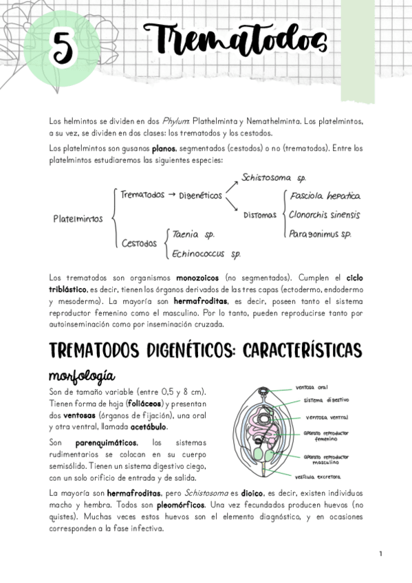 Miniatura del documento Tema-5.pdf
