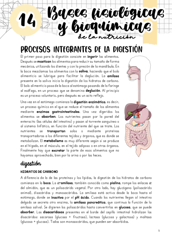 Miniatura del documento Tema-14.pdf